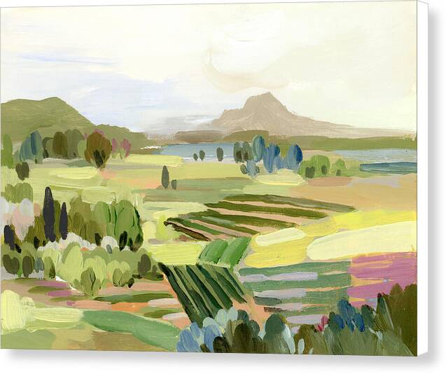 Sunny Italian Fields - Canvas Print