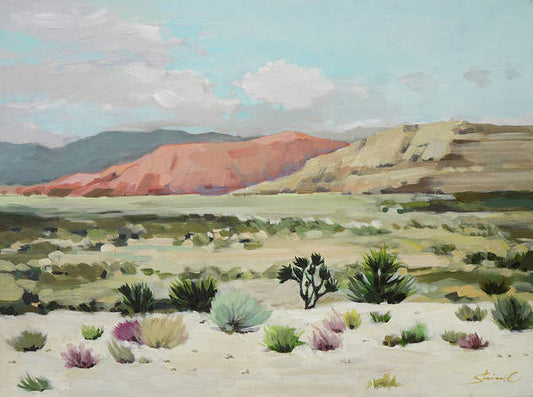 Desert Trip - Art Print