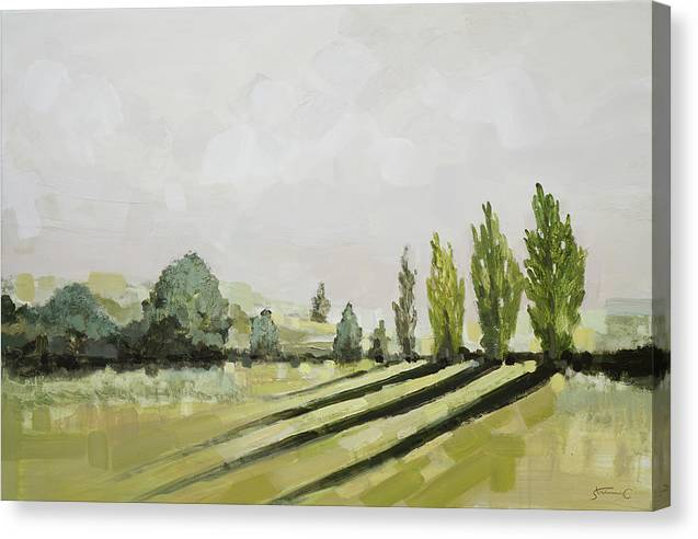 Sunlight in Napa Valley - Canvas Print