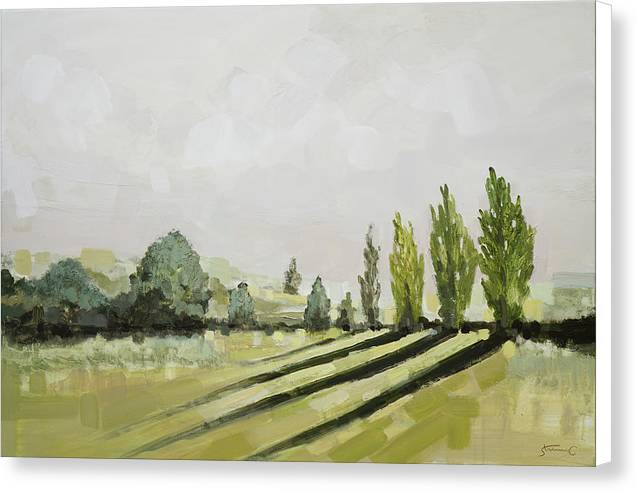 Sunlight in Napa Valley - Canvas Print