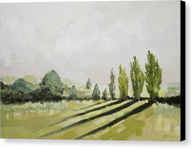 Sunlight in Napa Valley - Canvas Print