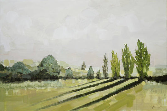 Sunlight in Napa Valley - Art Print