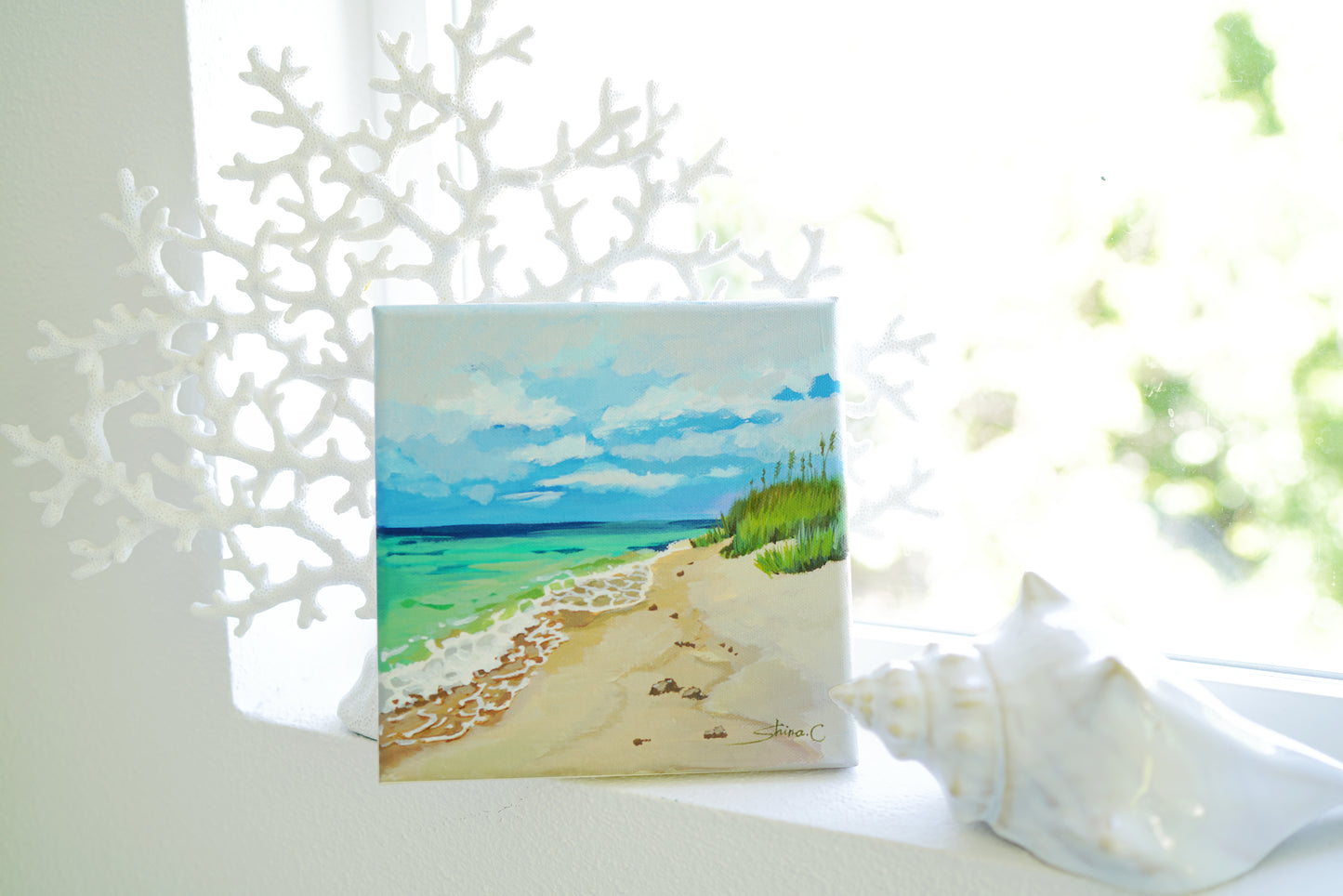 Beach Scenery *20% OFF at checkout