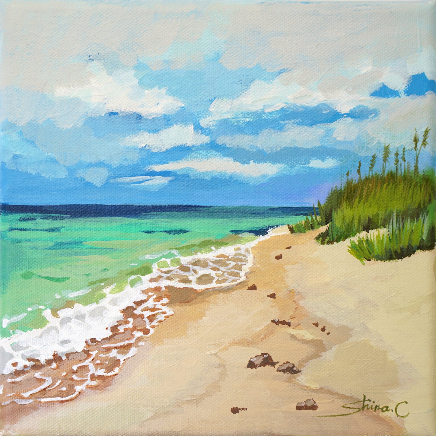 Beach Scenery *20% OFF at checkout