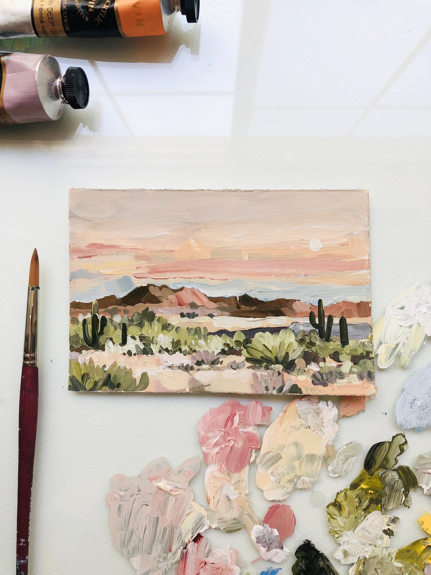 Arizona Desert