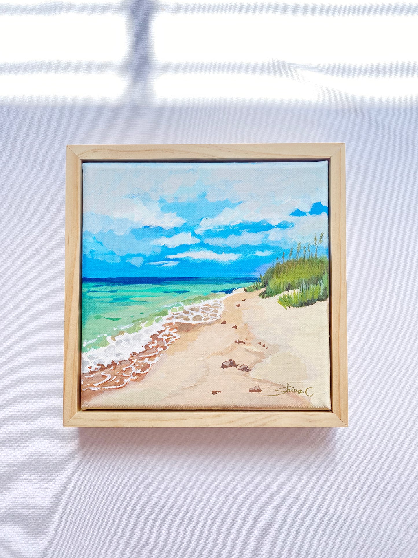 Beach Scenery *20% OFF at checkout