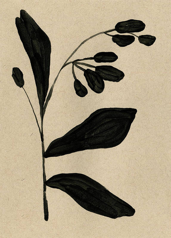 Botanical Garden - Art Print