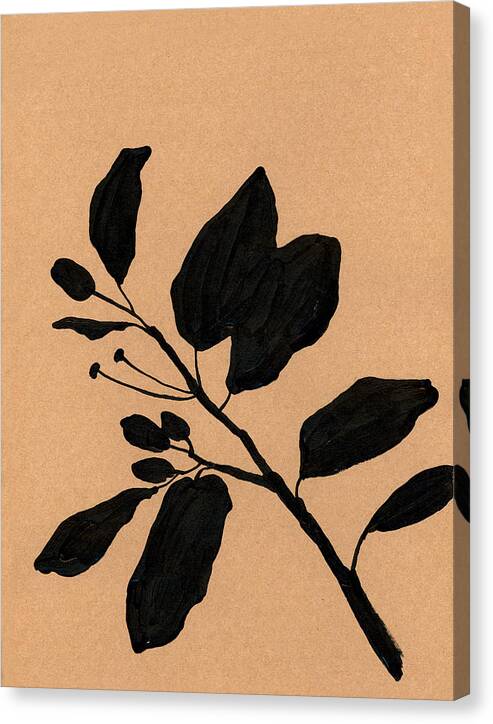 Citrus branch no.2 - Canvas Print