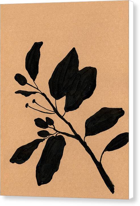 Citrus branch no.2 - Canvas Print