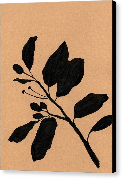 Citrus branch no.2 - Canvas Print