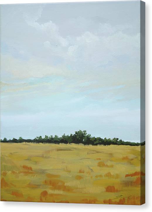 Field of a Cloudy Day - Canvas Print
