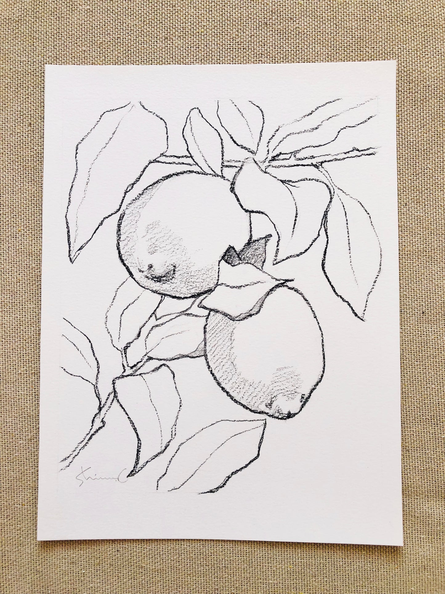 Lemon Tree