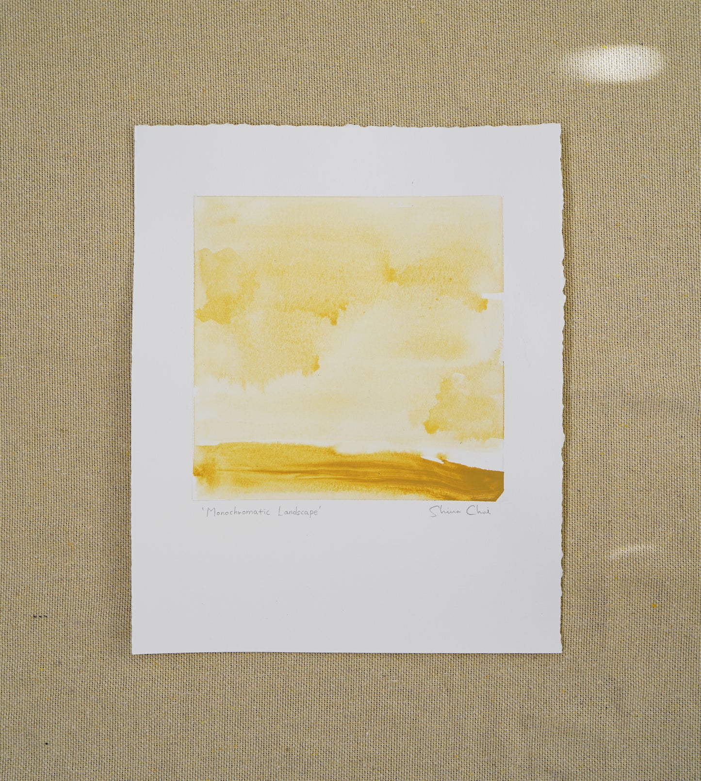 Monochromatic Landscape