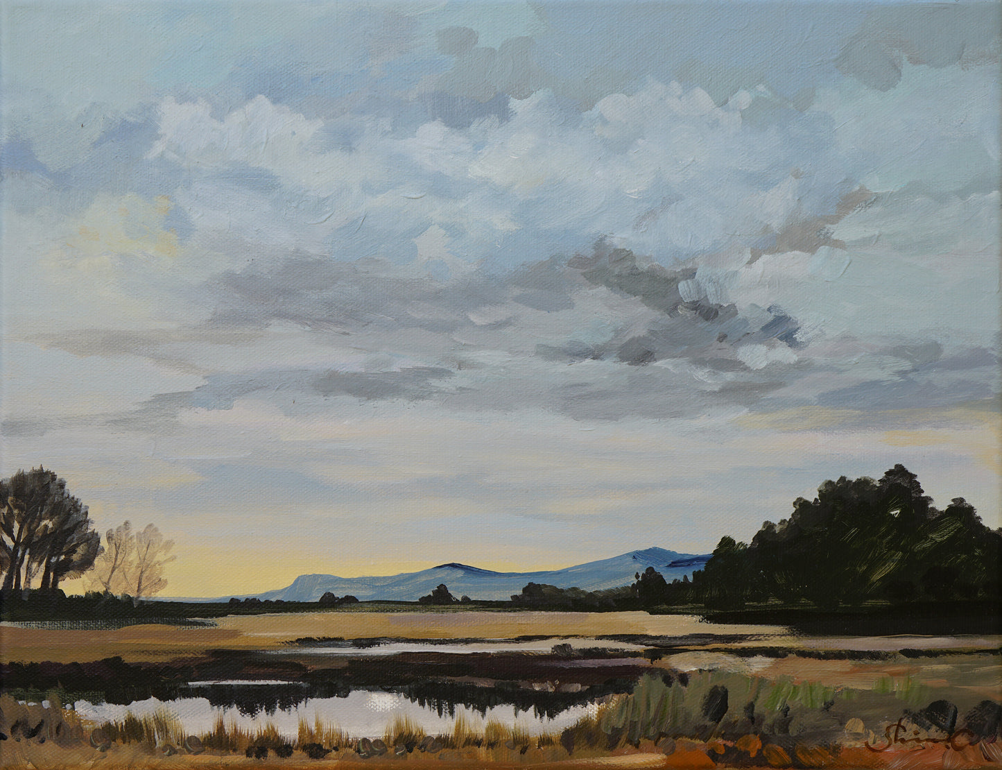 Calming Twilight *Framed!