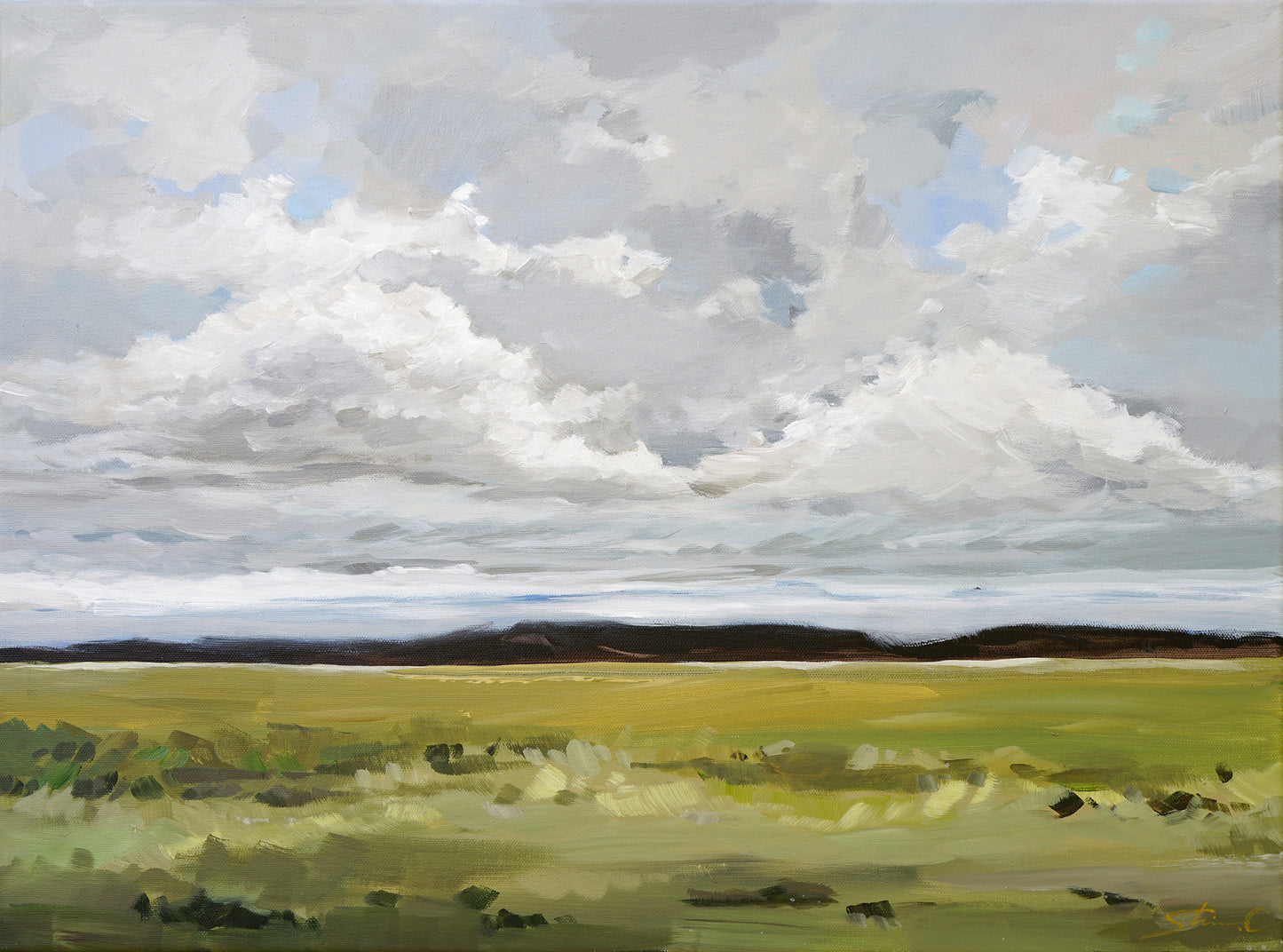 Cloudy Land *30% Off at checkout
