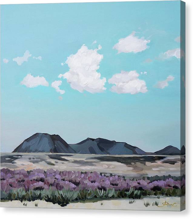 Serenity Afternoon in the Desert - Canvas Print