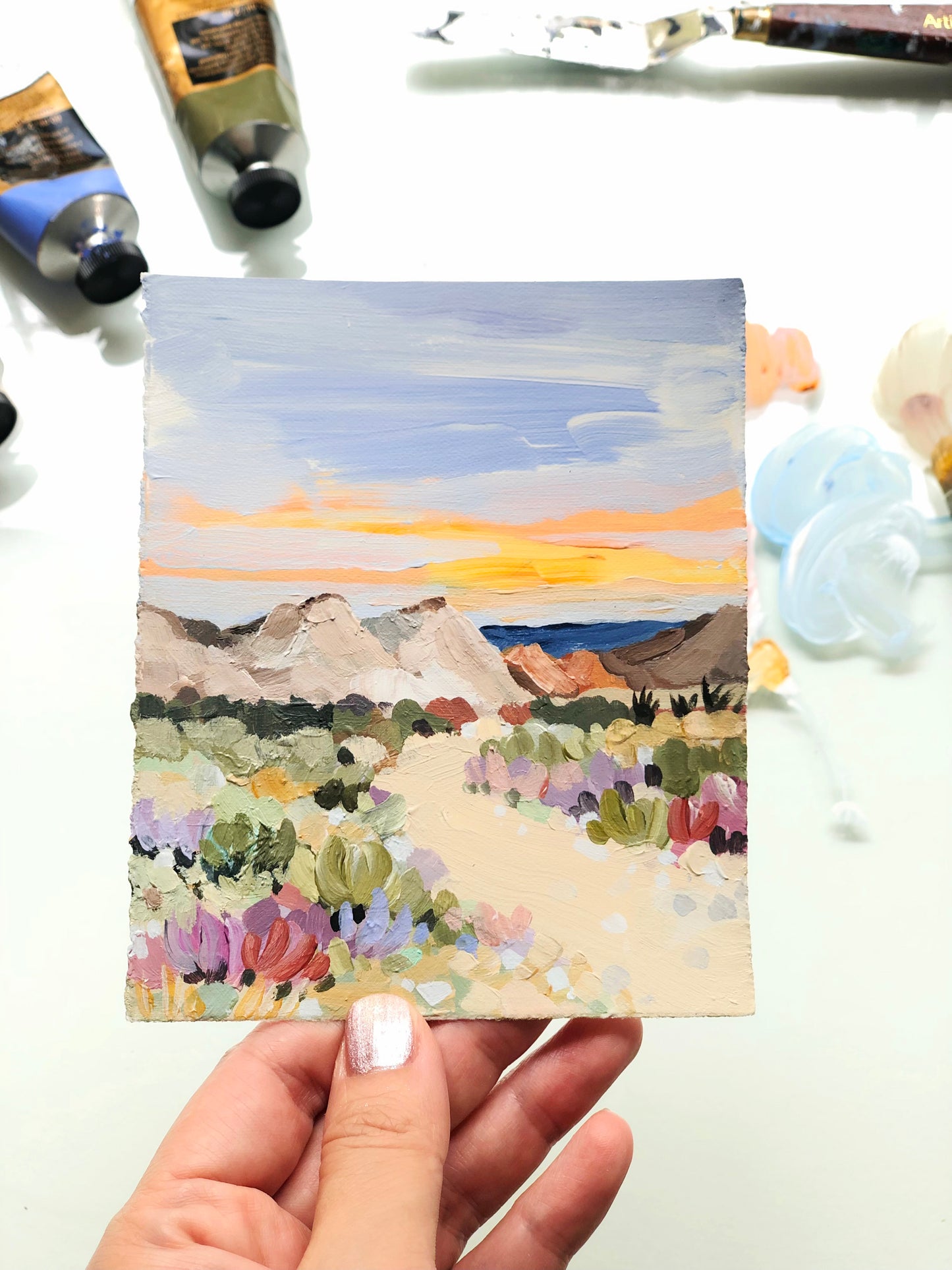 Desert Sunset Trail