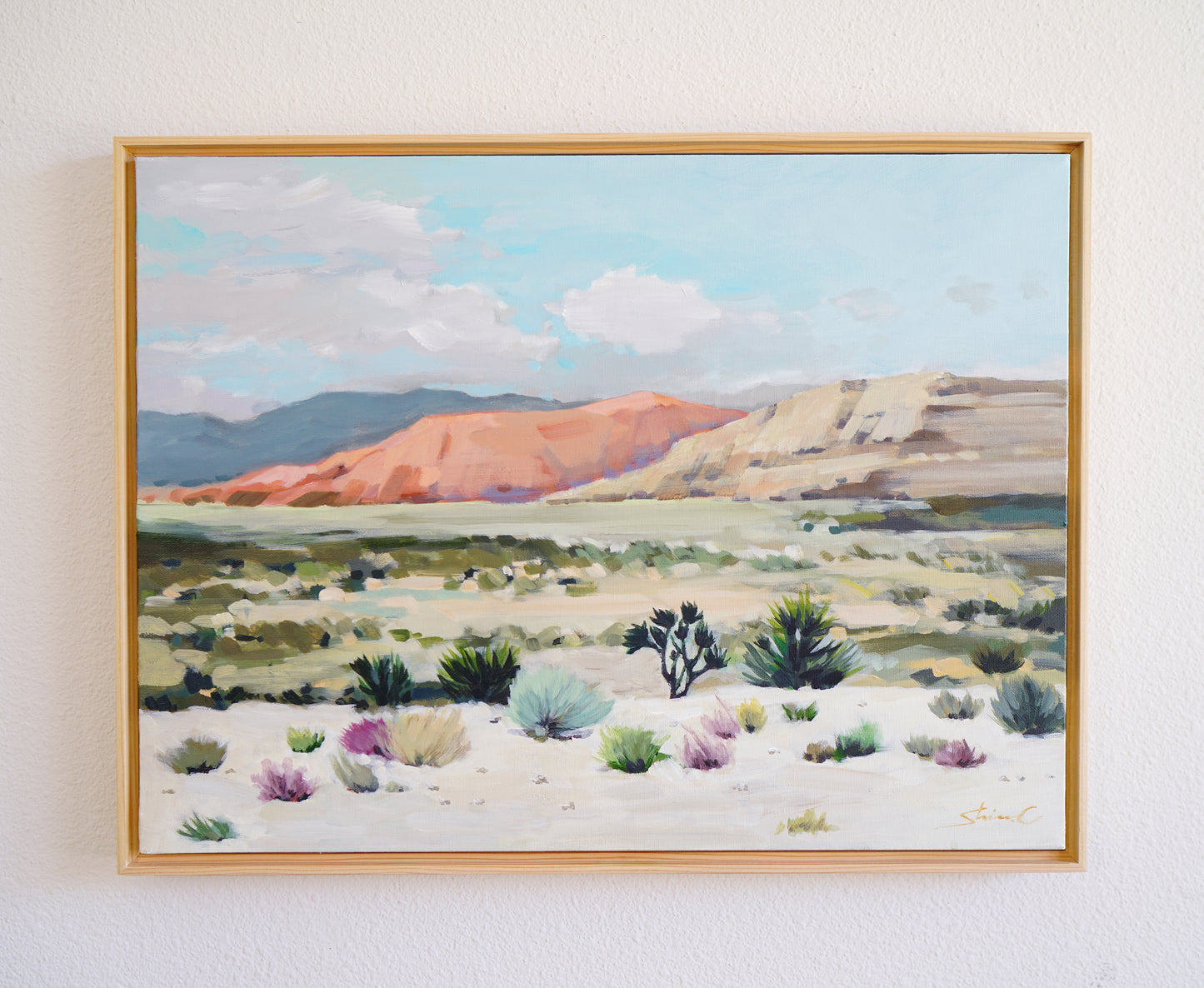 Desert Trip *Framed!