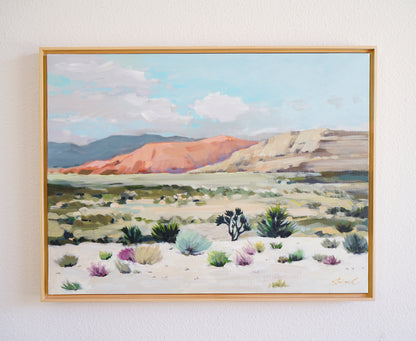 Desert Trip *Framed!