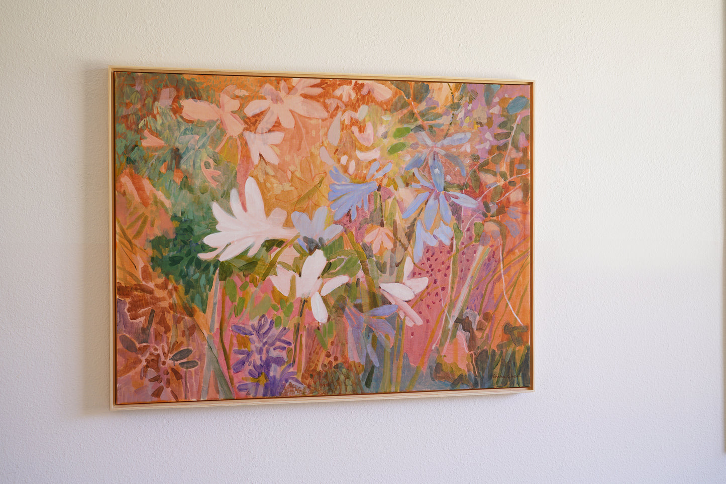 Apricot Lily Haze
