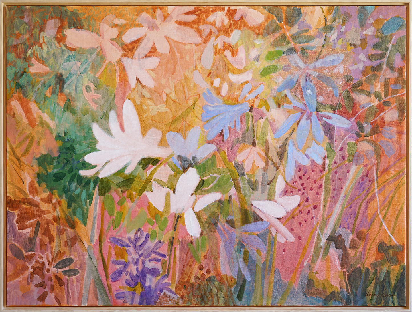 Apricot Lily Haze