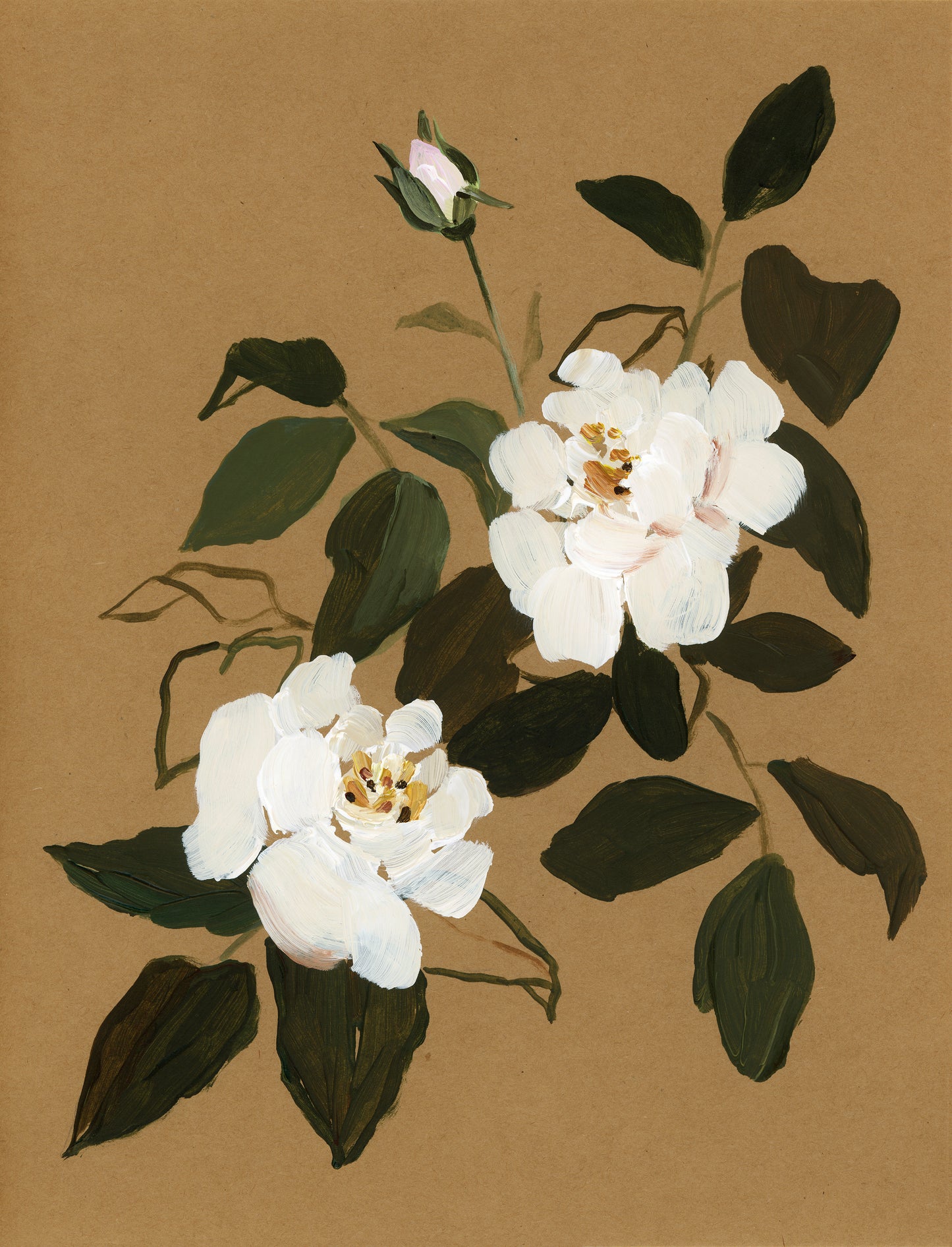 White Roses no.1