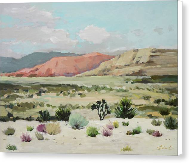 Desert Trip - Canvas Print