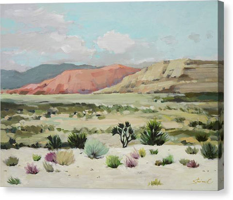 Desert Trip - Canvas Print
