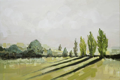 Sunlight in Napa Valley - Art Print