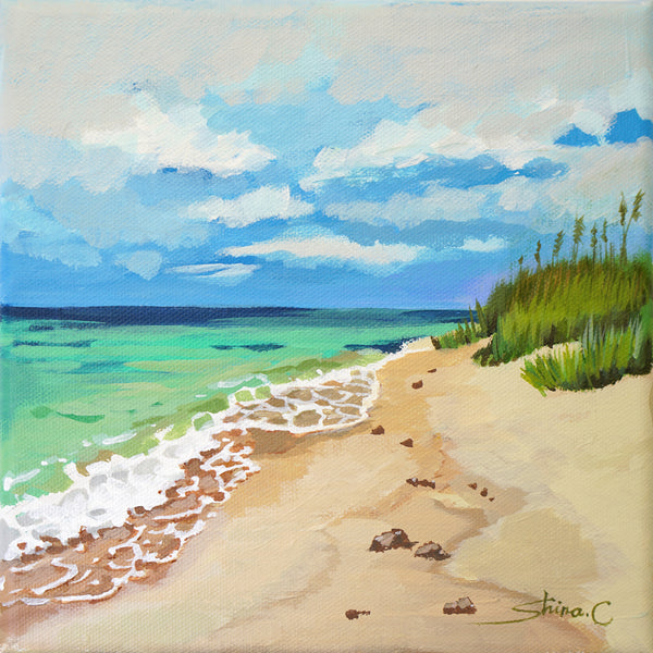 Beach Scenery *25% OFF at checkout