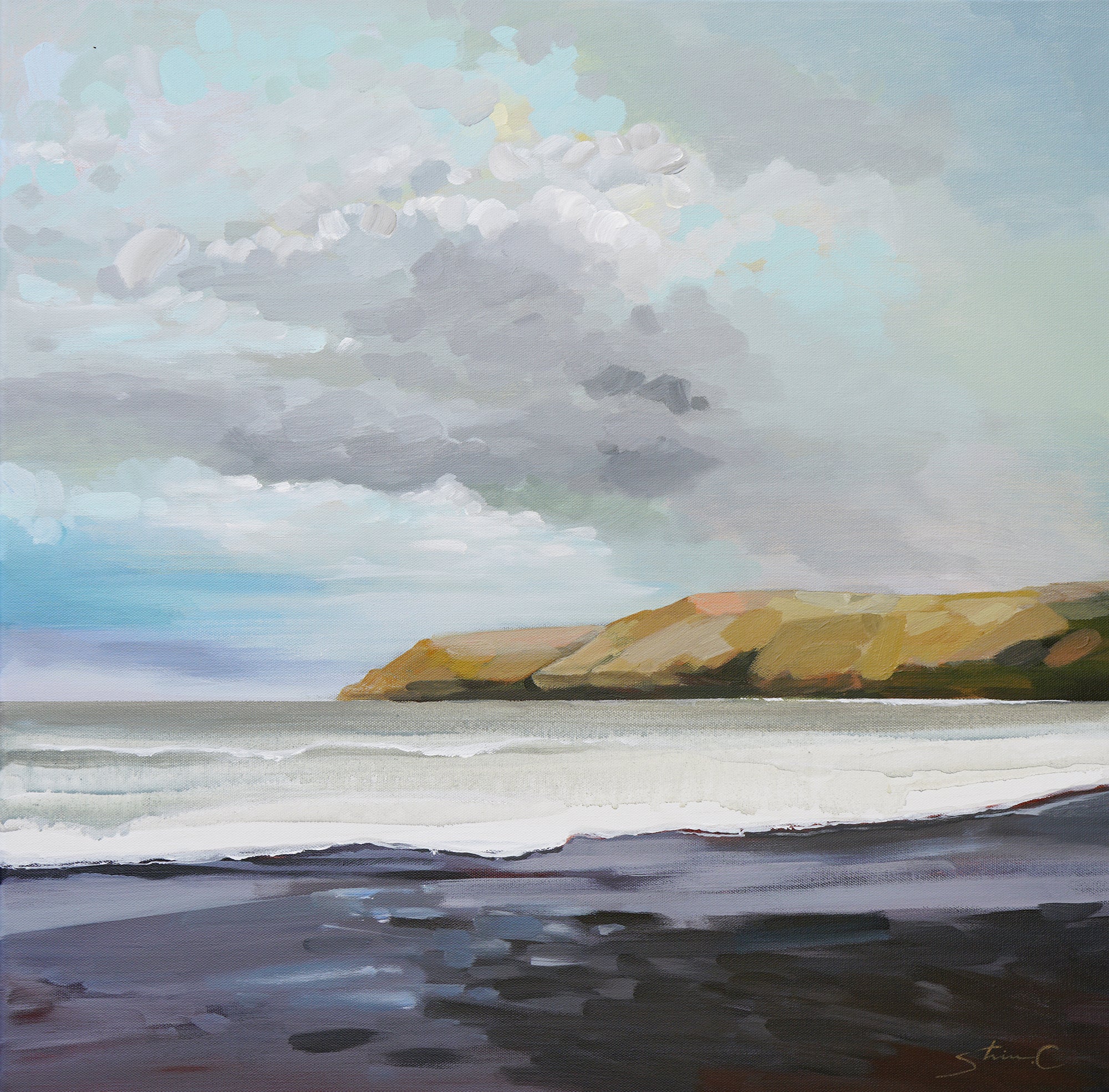Black Sand Beach Under A Cloudy Sky *25% Off at checkout