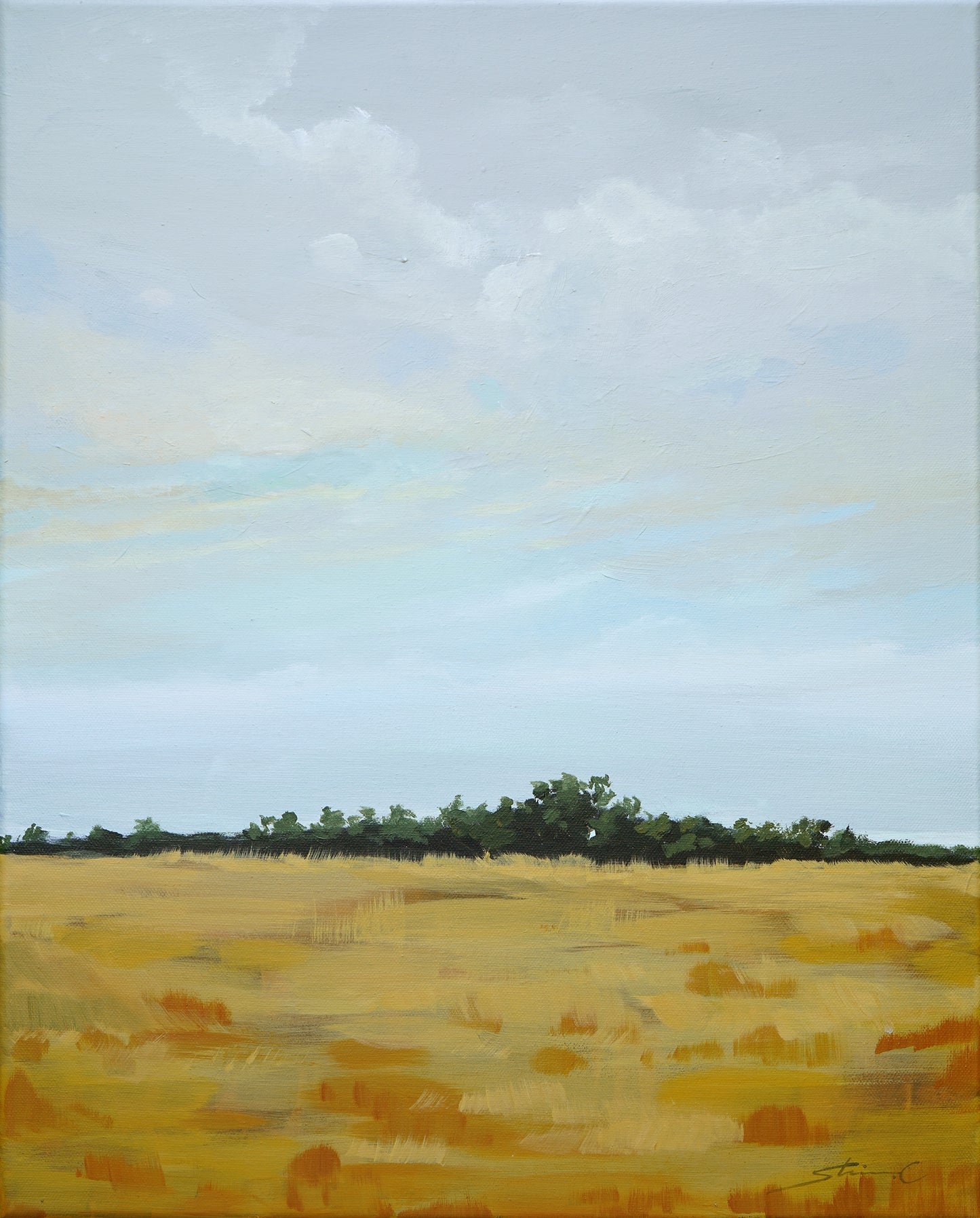 Yellow Field of a Cloudy Day *20% OFF at checkout