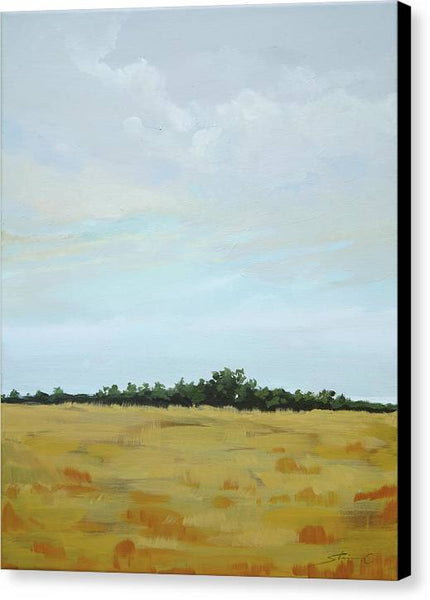 Field of a Cloudy Day - Canvas Print