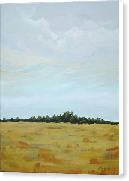Field of a Cloudy Day - Canvas Print