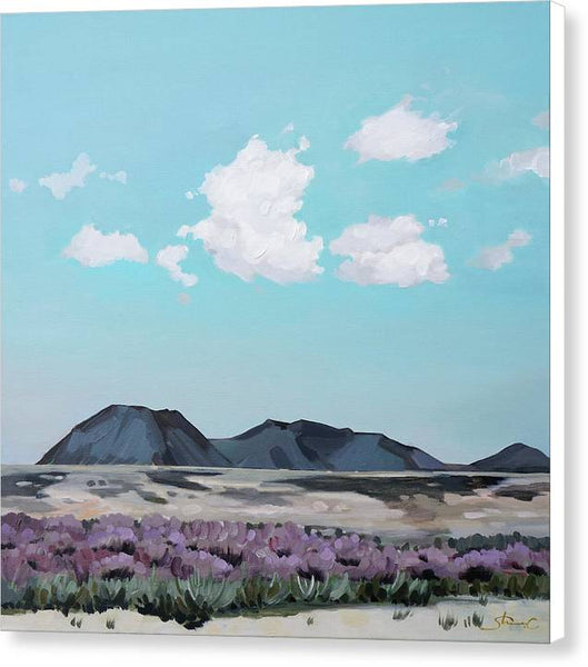 Serenity Afternoon in the Desert - Canvas Print