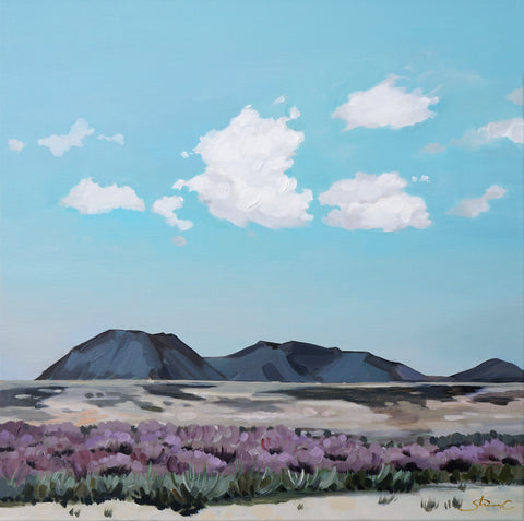 Serenity Afternoon in the Desert